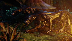 Nantang viperwolf is fine