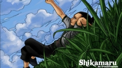 Naruto shippuden shikamaru nara