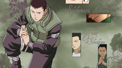 Naruto shippuden shikamaru nara