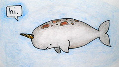 Narwhal