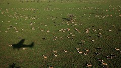 National geographic aerial photography