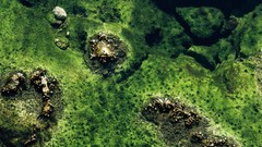 National geographic aerial photography