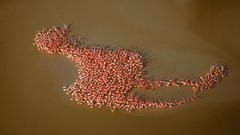 National geographic aerial view aerial photography