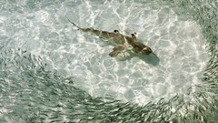 National geographic aerial view aerial photography