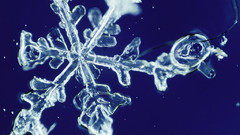 National geographic btmuf part