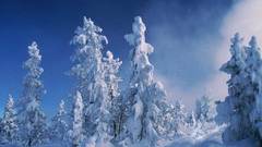 National geographic btmuf part