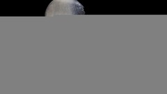 National geographic sea slugs