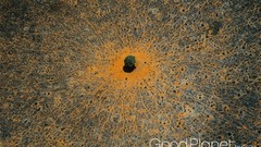 National park Kenya Tree Of Life The Tree Of Life