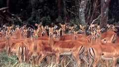 National park Po mara