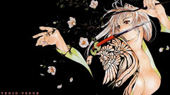 Natsume maya tenjou tenge