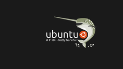 Natty Narwhal computer ubuntu