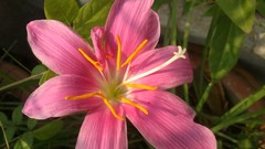 Natural indian Architecture