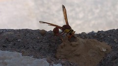 Natural indian Architecture