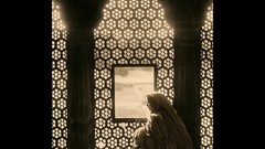 Nature Animals Alone in the Dark lonely national geographic 