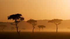 Nature Animals People Africa thread cities everything crestock