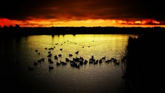 Nature Animals snakes Donatello scenic fantasy art