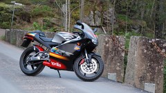 Nature Aprilia 2003 motorbikes GP1 RS125 RS125 GP1 ApriliaRS125
