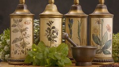 Nature Asia colors taste Herbs smell excited