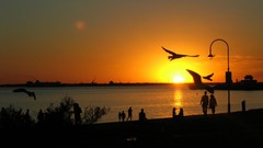 Nature Australia Melbourne