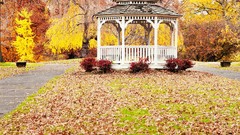 Nature autumn Philadelphia Pennsylvania gazebo