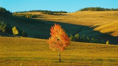 Nature autumn siberia