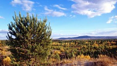 Nature autumn siberia