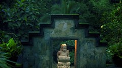 Nature Bali Rainforest