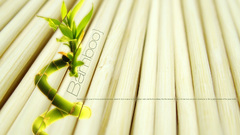 Nature bamboo Green stalk