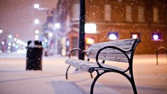 Nature bench bokeh city night snowing