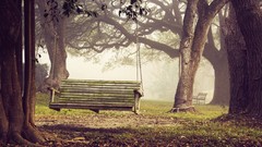 Nature bench swing forests swings