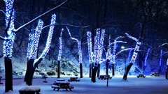 Nature blue lights Christmas flood avenue sigh detector