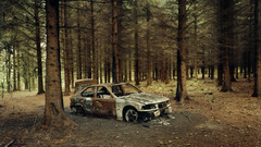 Nature BMW Trees cars