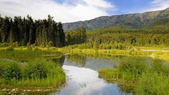 Nature Canada Prince Edward Island