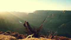 Nature canyon digital blasphemy