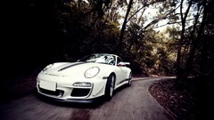 Nature cars Porsche forests Porsche 911 GT3 RS 4.0