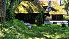 Nature Castles romania Bran Castle