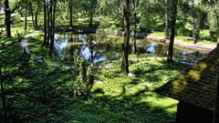 Nature Castles romania Bran Castle