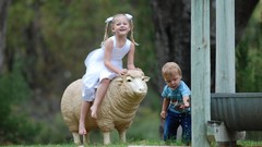 Nature children sheep farm life
