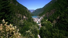 Nature City best and 409