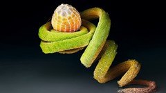Nature close-up butterfly eggs