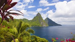 Nature clouds bay palm trees pink flowers caribbean saint lucia