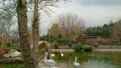 Nature clouds iran artwork cloudy day