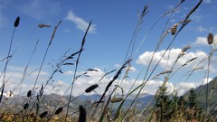 Nature clouds wheat skies photo shoot tres