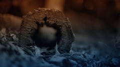 Nature color all snapshot yup symptoms ascertains