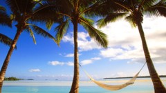 Nature Cook Islands hammock palm trees Beaches