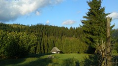 Nature cottage romania Transylvania forests