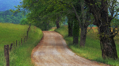 Nature countryside Country Roads