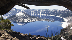 Nature crater Lake tree