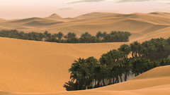Nature desert