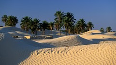 Nature deserts sand dunes